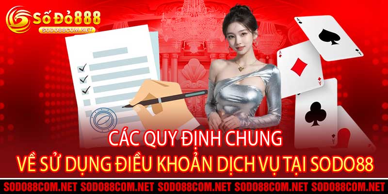 điều khoản dịch vụ