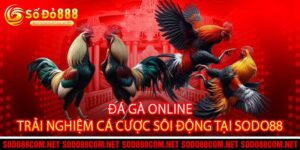 Đá Gà Online Trải Nghiệm Cá Cược Sôi Động Tại Sodo88