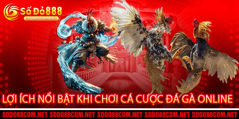 Lợi Ích Nổi Bật Khi Chơi Cá Cược Đá Gà Online