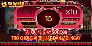 Tài Xỉu 45 Giây Sodo88 - Trò Chơi Giải Trí Hấp Dẫn Mỗi Ngày